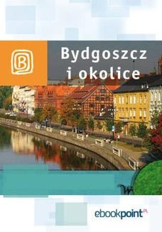 Ebook Bydgoszcz i okolice. Miniprzewodnik pdf