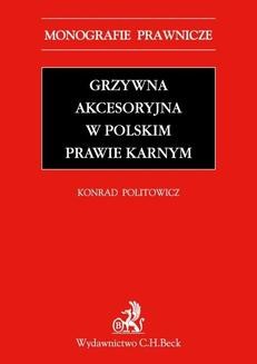 Ebook Grzywna akcesoryjna w polskim prawie karnym pdf