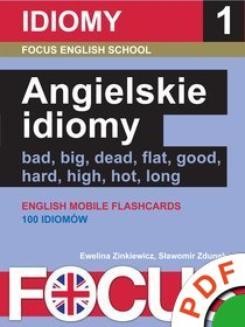 Ebook Idiomy. Zestaw 1. Angielskie idiomy pdf