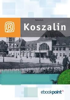 Ebook Koszalin i okolice. Miniprzewodnik pdf