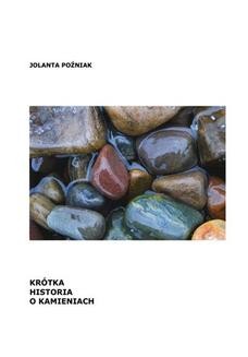 Ebook Krótka historia o kamieniach pdf
