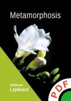 Ebook Metamorphosis pdf