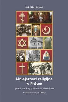 Ebook Mniejszości religijne w Polsce. Geneza, struktury przestrzenne, tło etniczne pdf