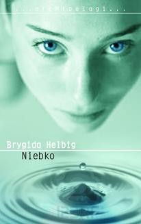 Ebook Niebko pdf