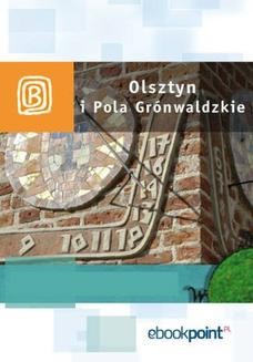 Ebook Olsztyn i Pola Grunwaldzkie. Miniprzewodnik pdf