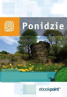 Ebook Ponidzie. Miniprzewodnik pdf