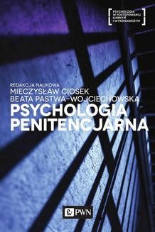 Ebook Psychologia penitencjarna pdf
