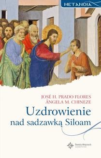 Ebook Uzdrowienie nad sadzawką Siloam pdf